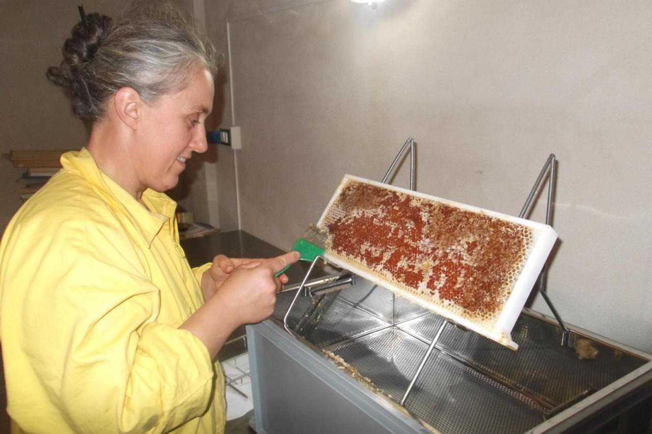 Agriturismo Di Charme E Ristorante Stallato Il Filo Di Paglia Carro Eksteriør bilde
