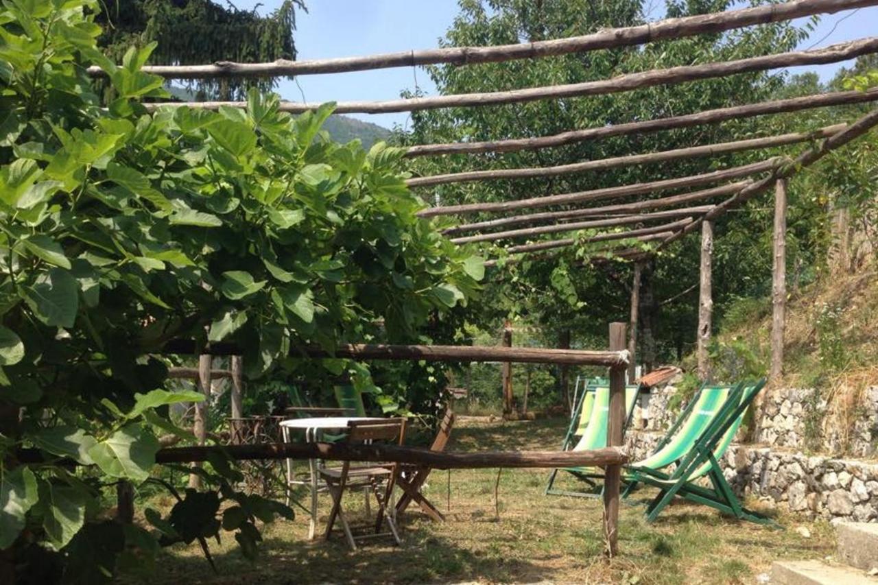 Agriturismo Di Charme E Ristorante Stallato Il Filo Di Paglia Carro Eksteriør bilde