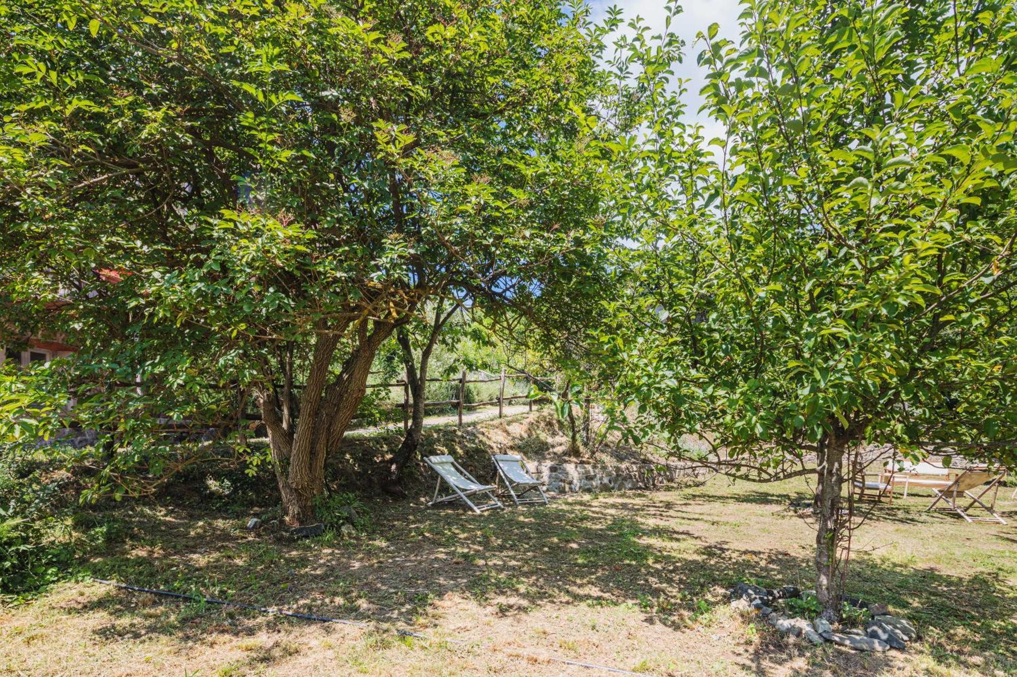 Agriturismo Di Charme E Ristorante Stallato Il Filo Di Paglia Carro Eksteriør bilde